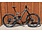 Scott 2022 Scott Ransom 920 29"