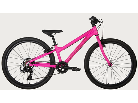 Norco bigfoot 2025 4.3