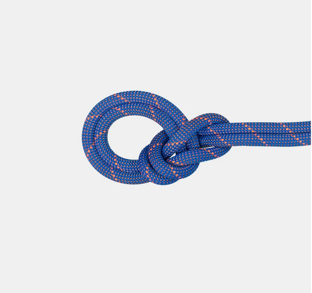 Mammut Mammut 9.0 Crag Sender Dry Rope