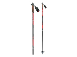 Alpina BC Poles
