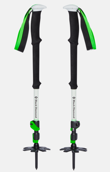 Black Diamond Black Diamond Expedition 3 Ski Poles Green