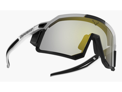 Dynafit Dynafit Sky Pro Sunglasses Blackout/White Cat 2-4