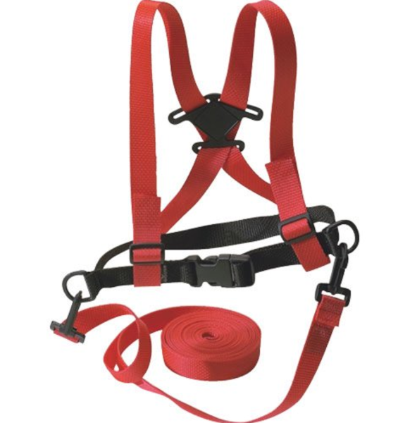 SAA Kids Ski Harness