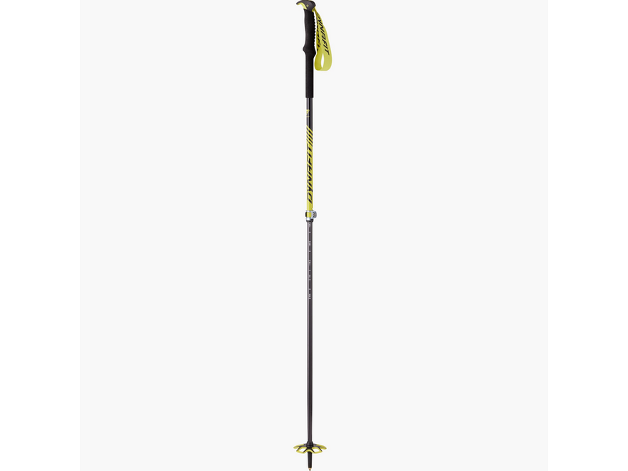 Ski Poles - The BackCountry