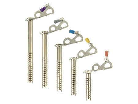 Black Diamond Black Diamond Express Ice Screw
