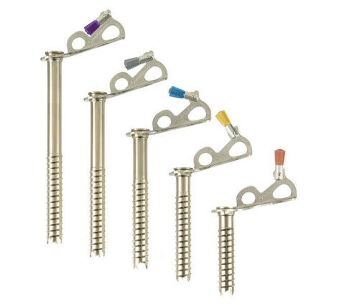 Black Diamond Black Diamond Express Ice Screw