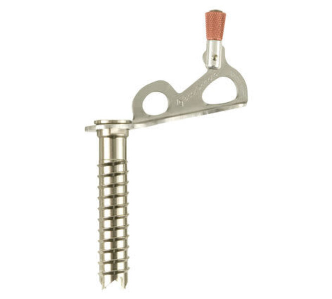 Black Diamond Black Diamond Express Ice Screw