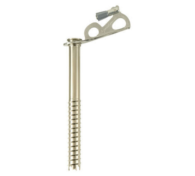 Black Diamond Black Diamond Express Ice Screw