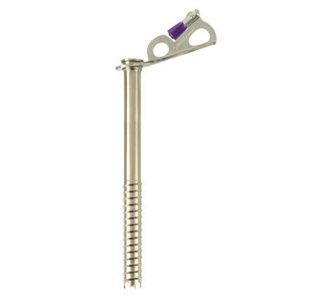 Black Diamond Black Diamond Express Ice Screw