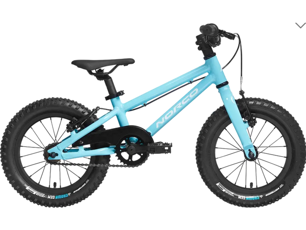 Norco 2022 Norco Storm 14" SS