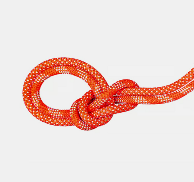 Mammut Mammut 9.8 Crag Classic Rope
