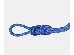 Mammut Mammut 9.0 Alpine Sender Dry Rope