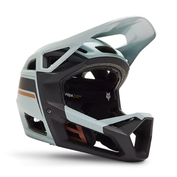 Fox Fox Proframe RS Helmet