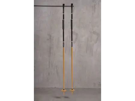 Armada Armada Legion Fixed Ski Poles