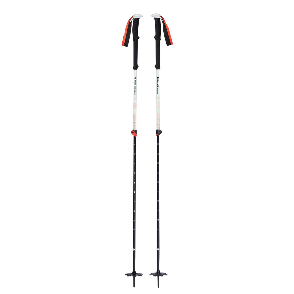 Black Diamond Expedition 2 Ski Poles | The BackCountry in Truckee