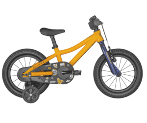 scott-scott-roxter-14-kids-