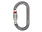 Petzl Petzl OK Screw Lock Carabiner