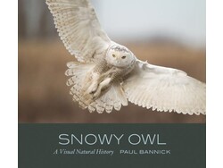 Mountaineers Books Mountaineers Books Snowy Owl by Paul Bannick