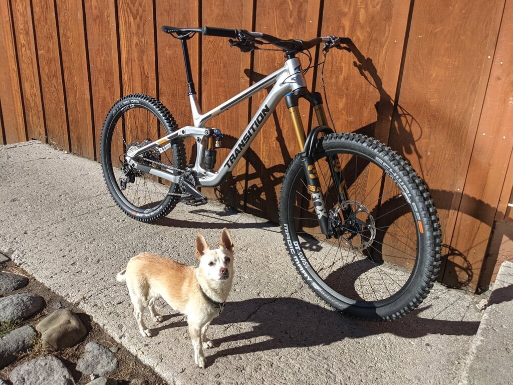 Transition 2023 Transition Spire Alloy XT 29"