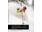Teton Pass: Backcountry Guide 2nd Edition by Thomas Turiano