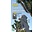 Mountaineers Books Mountaineers Books The Trad Guide to Joshua Tree: 60 Favorite Climbs from 5.5 to 5.9 by Charlie & Diane Winger