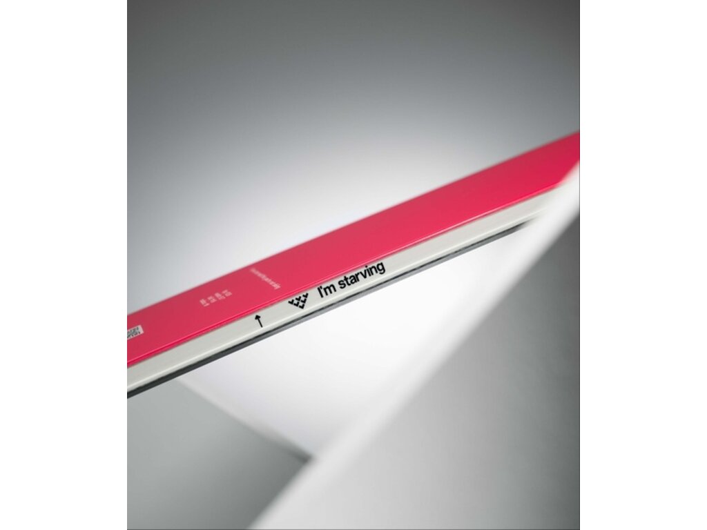 Black Crows 2025 Black Crows Camox Birdie Skis