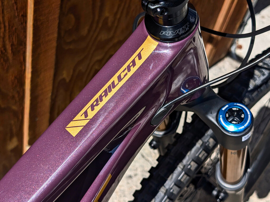 Pivot 2025 Pivot Trailcat LT Pro X0 Eagle 29"