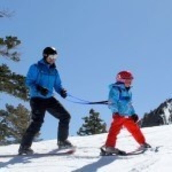 SAA Harness Launch Pad Ski Harness