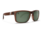 Blenders Blenders Canyon Sunglasses
