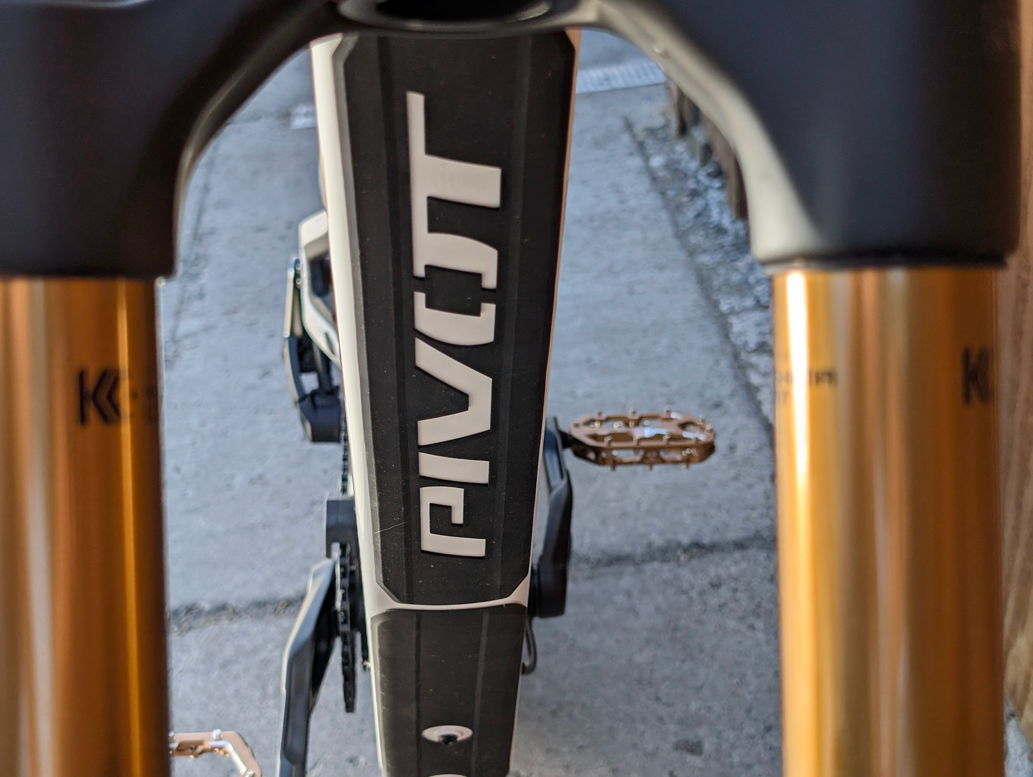 Pivot 2026 Pivot Firebird Pro X0 Eagle 29"