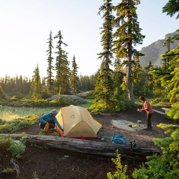 MSR MSR Elixir 2 Backpacking Tent, 2 Person