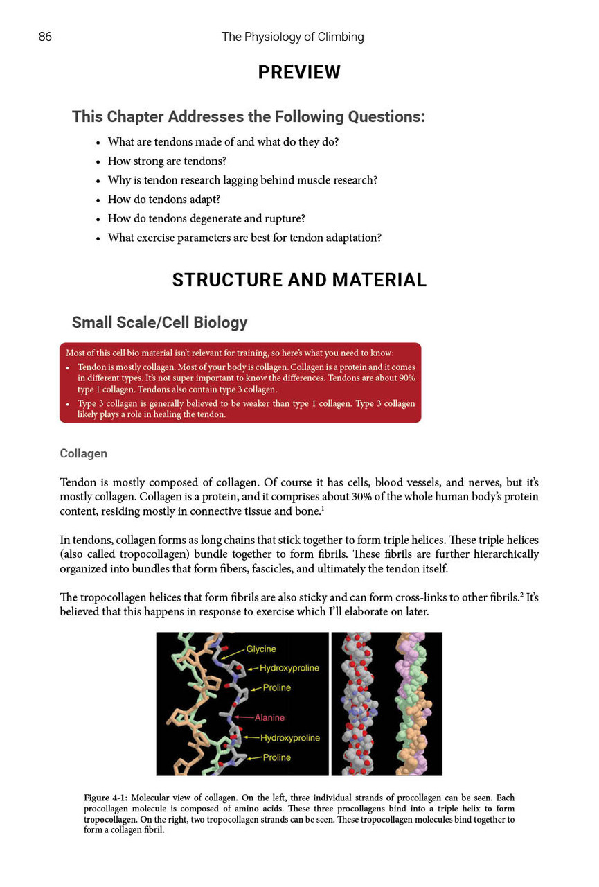 Physiology of Climbing by Austin Steady