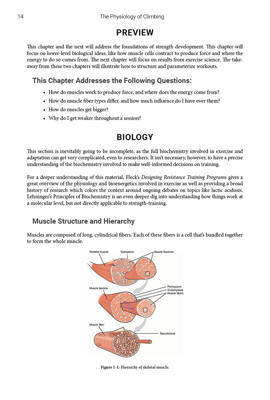 Physiology of Climbing by Austin Steady