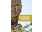 Eldorado Canyon: A Climbing Guide by Steve Levin