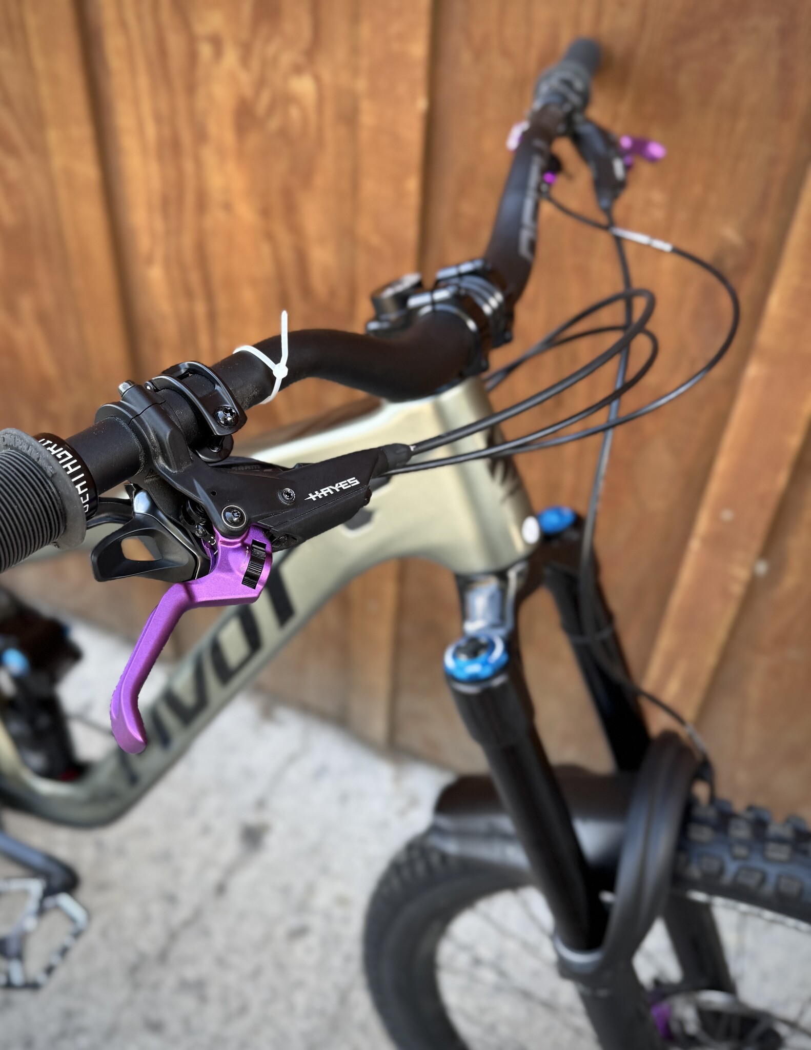 Pivot Pivot Firebird Custom Build 29"