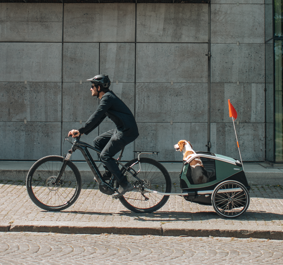 Thule Thule Bexey Dog Bike Trailer