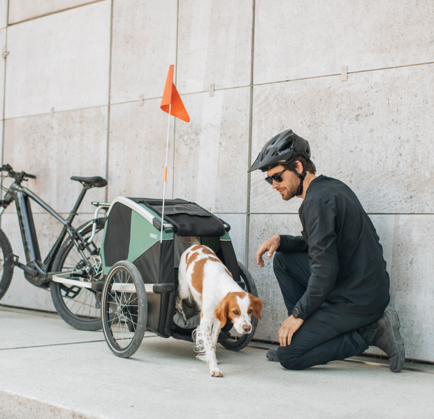 Thule Thule Bexey Dog Bike Trailer