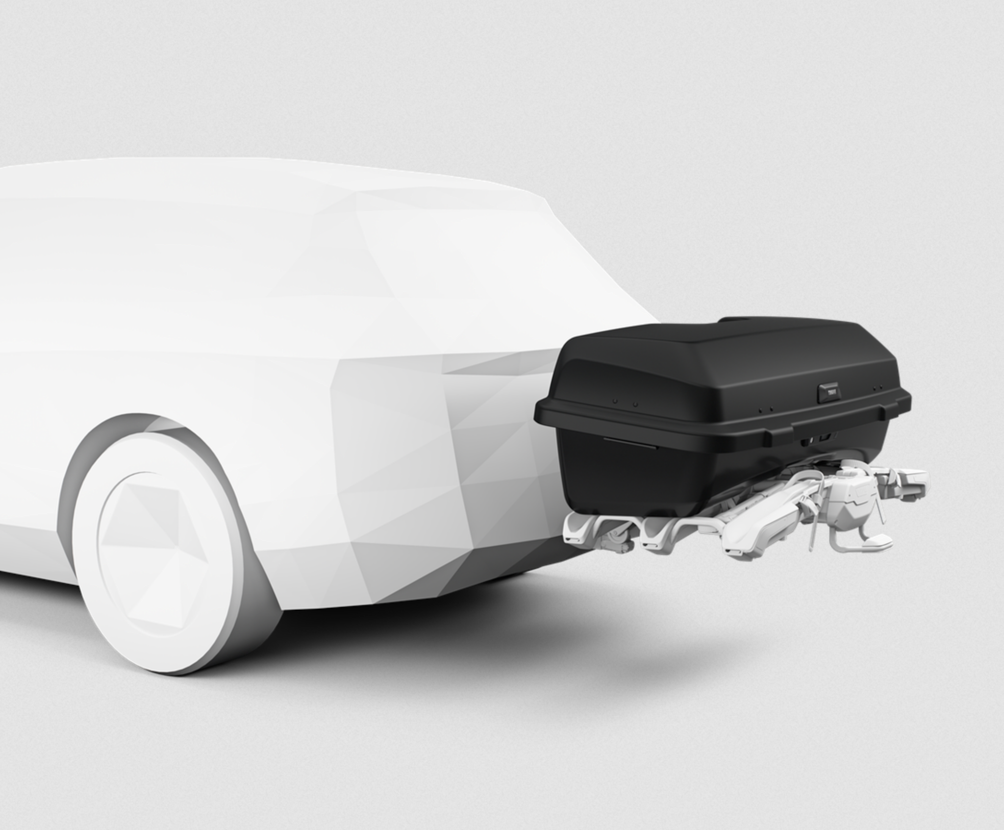 Thule Thule Santu Hitch Cargo Box Carrier