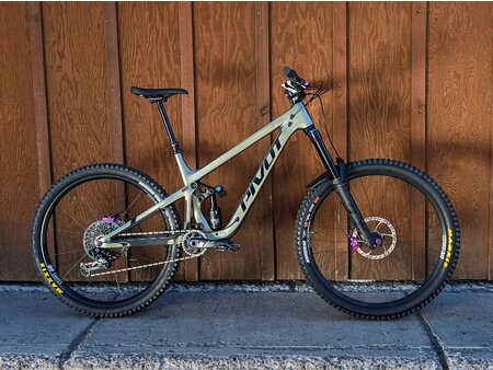 Pivot Pivot Firebird Custom Build 29"