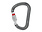 Petzl Petzl William Screw-Lock Carabiner Grey