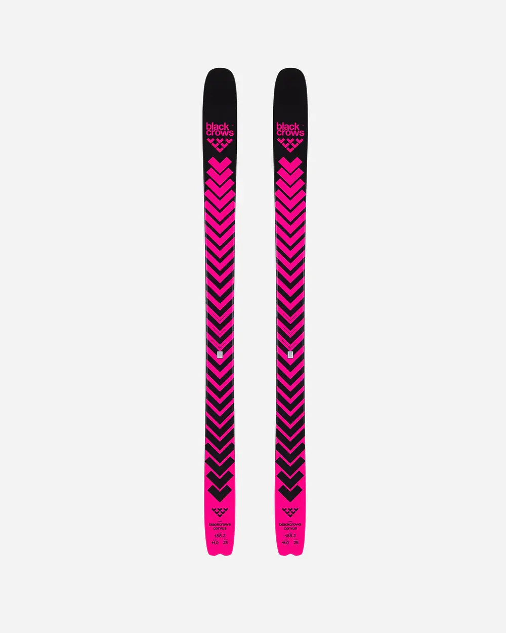 Black Crows 2026 Black Crows Corvus Skis
