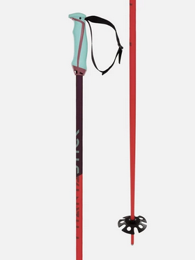 Volkl Volkl Phantastick Ski Poles 18mm