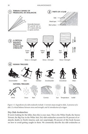 Mountaineers Books Staying Alive in Avalanche Terrain: 3rd Edition [Bruce Tremper]