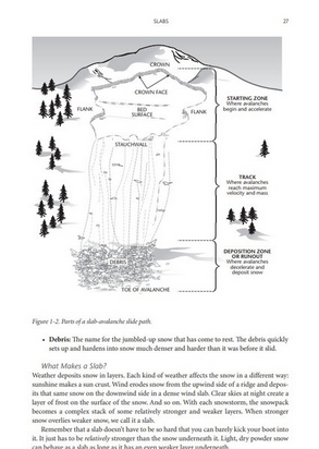 Mountaineers Books Staying Alive in Avalanche Terrain: 3rd Edition [Bruce Tremper]