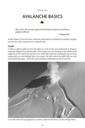 Mountaineers Books Staying Alive in Avalanche Terrain: 3rd Edition [Bruce Tremper]