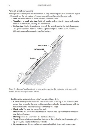 Mountaineers Books Staying Alive in Avalanche Terrain: 3rd Edition [Bruce Tremper]