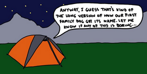 Mountaineers Books Bears Don't Care About your Problems: More Funny Shit in the Woods from Semi-Rad.com