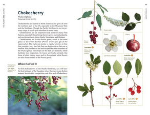 Mountaineers Books Edible Plants of the Pacific Northwest: A Visual Guide to Harvesting and Cooking with 40 Common Species