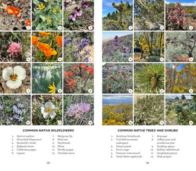 Mountaineers Books Urban Trails Reno: Galena, North Valleys, Washoe Valley, City Parks