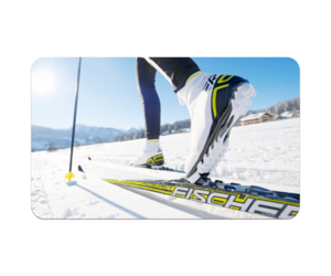 mounting salomon nordic skis Beginner Cross-Country Ski Touring Set the Salomon Escape 5 Grip skis with bindings are an ideal choice Can I buy Prolink sole-plates